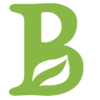 icon b