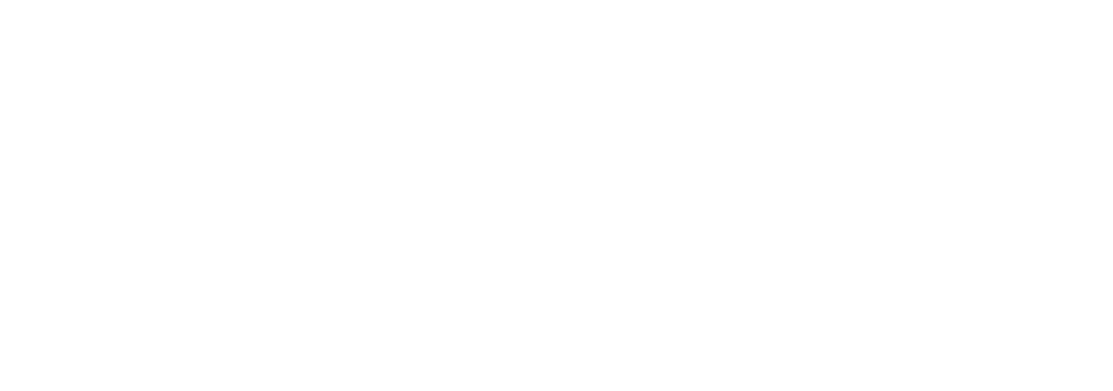 plural experten rechts 1c weiss