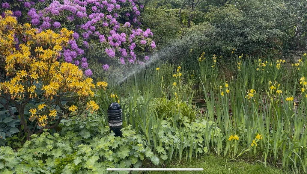 wasser im garten